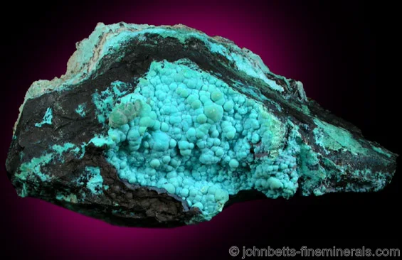 Rounded Botryoidal Chrysocolla