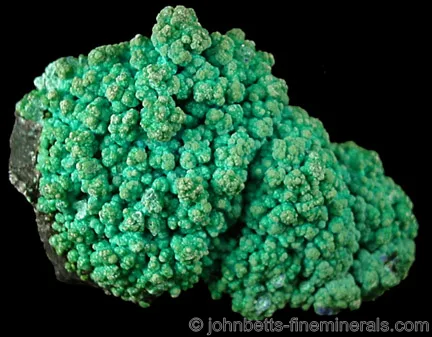 Bright Green Globular Chrysocolla