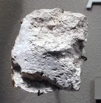 Massive Coesite from Meteor Crater