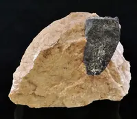 Columbite in Feldspar