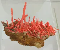 Elongated Crocoite on Matrix