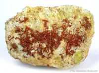 Brazilian Crocoite on White Matrix