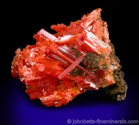Interconnected Crocoite Needles