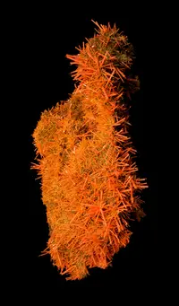 Exceptional Crocoite Plate