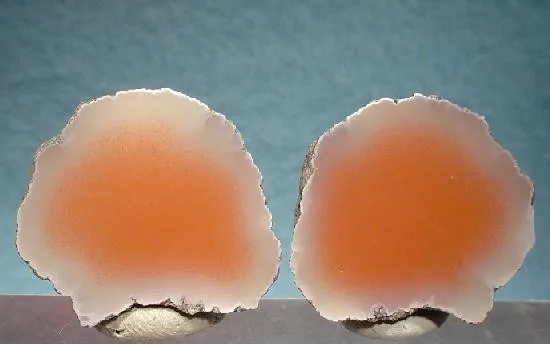 Datolite Nodule Matched Pair