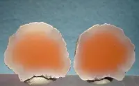 Datolite Nodule Matched Pair