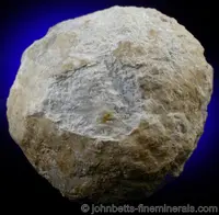 Diaspore Nodule