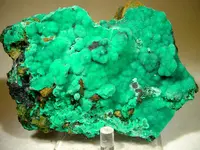 Rare Botryoidal Dioptase