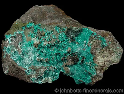 Dioptase Microcrystal Crust