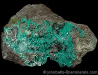 Dioptase Microcrystal Crust