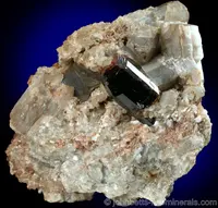 Dravite Crystal on Tremolite