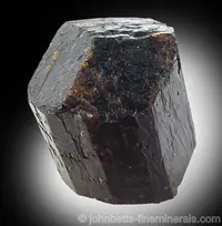 Dravite Floater Crystal