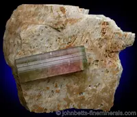Bi-colored Elbaite on Matrix