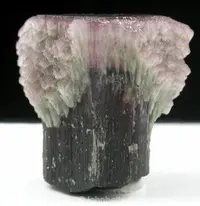 Mushroom Tourmaline