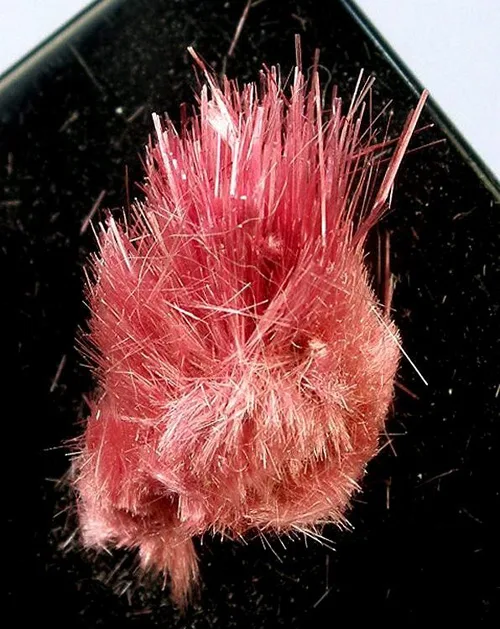 Fibrous Erythrite Hairs