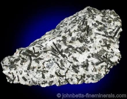 Ferrohornblende in Quartz