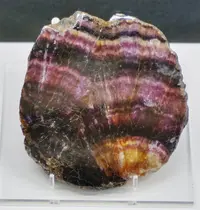 Fluorite Var. Blue John