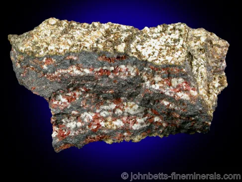 Fluoro-magnesiohastingsite