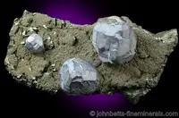 Complex Galena Crystals on Matrix