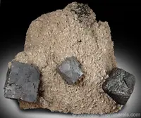 Galena Cubes on Dolomite