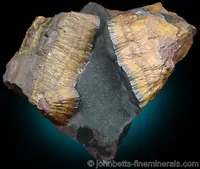 Banded Yellow Goethite