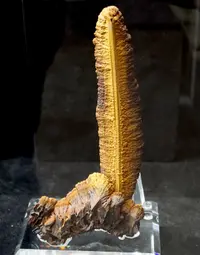 Elongated Stalagmitic Goethite Formation