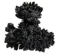 Velvety Goethite Blades