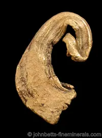 Curved Gold Wire Crystal