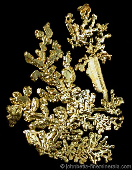 Dendritic Gold Crystals