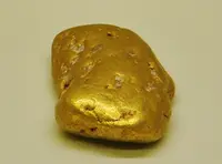 Gold Nugget