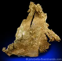 Crystallized Gold Leaf