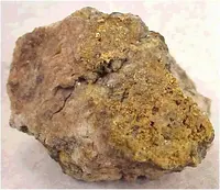 Roasted Gold on Matrix