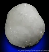 Rounded Goosecreekite Formation