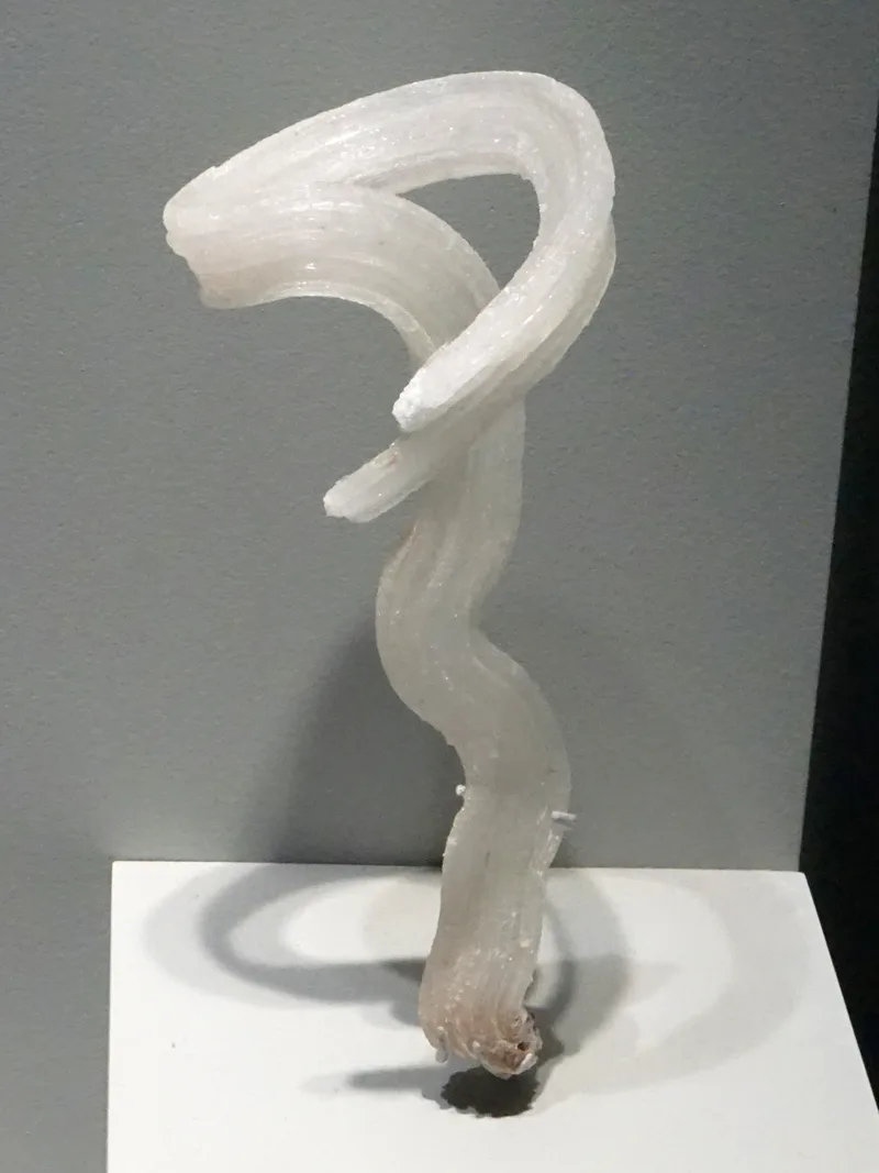 Complex Curved Gypsum Crystals