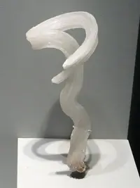 Complex Curved Gypsum Crystals