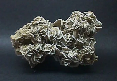 Beautiful Gypsum Rosette
