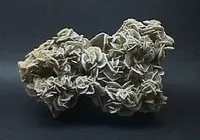 Beautiful Gypsum Rosette