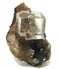 Cubic Halite on Matrix