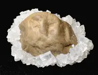 Halite Cubes Encrusting Rock