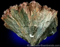 Hedenbergite Spray with Andradite