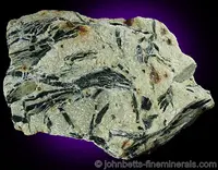 Hornblende in Schist Matrix
