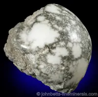 Polished Howlite Nodule