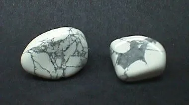 Two Polished Howlites