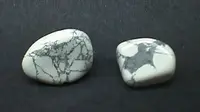 Two Polished Howlites