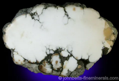Sliced Howlite Nodule