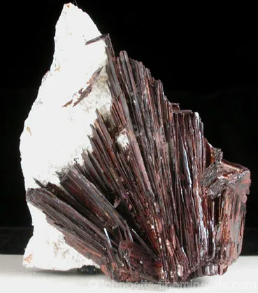 Acicular Huebnerite Spray