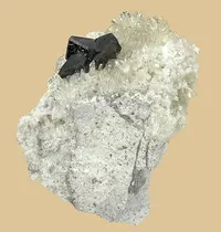 Intergrown Huebnerite with Quartz