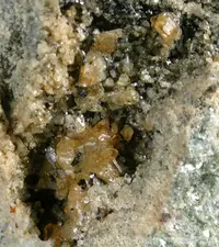 Zoom Of Humite Cavity