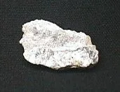Massive Hydrozincite