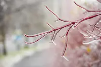 Glaze from Freezing Rain